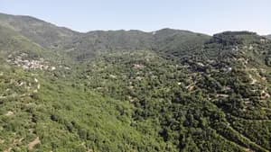  DJI_0026.