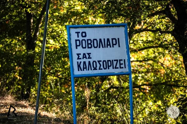 1D7A3029