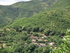 Ροβολιάρι - 45