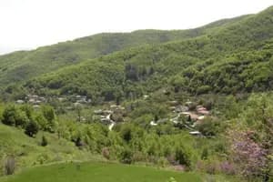 Ροβολιάρι - 5