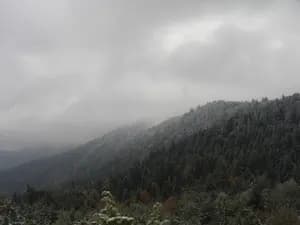 Ροβολιάρι - 62