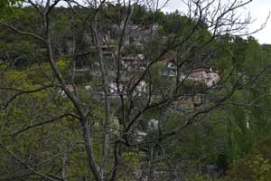 Ροβολιάρι - DSC_0657