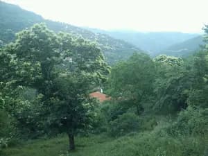 Ροβολιάρι - efimerides_2013_32280